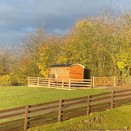 Villa The Snug At Coed Y Gaer Oswestry Exterior foto